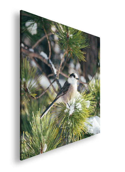 Hauptbild Farbig Quadratisch