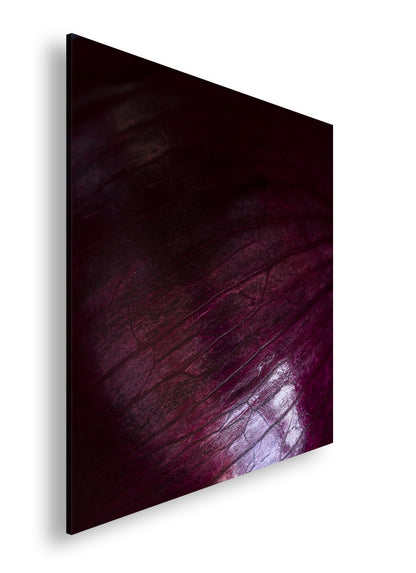 Hauptbild Farbig Quadratisch