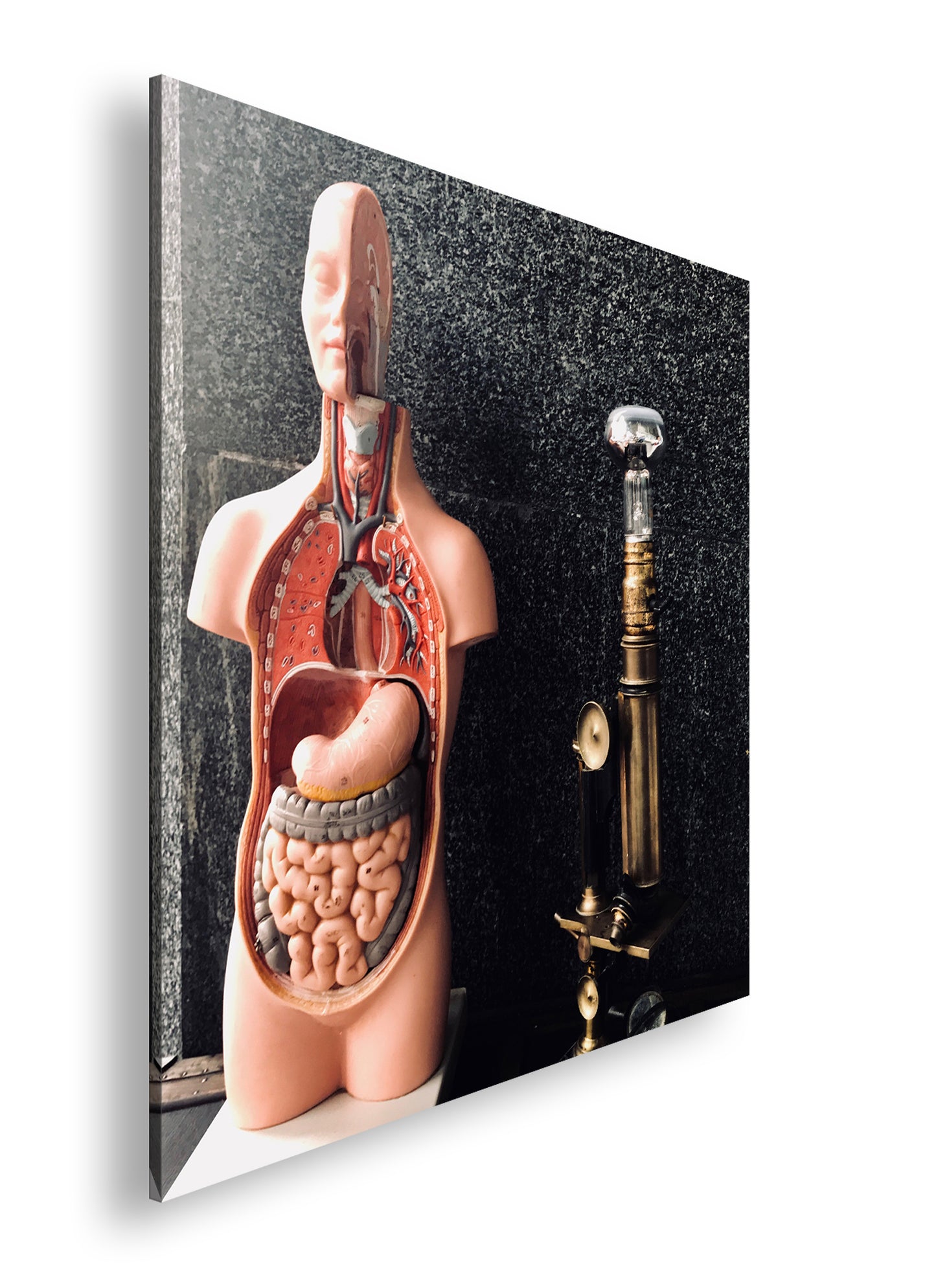 Hauptbild Farbig Quadratisch