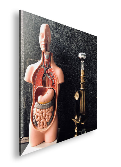 Hauptbild Farbig Quadratisch