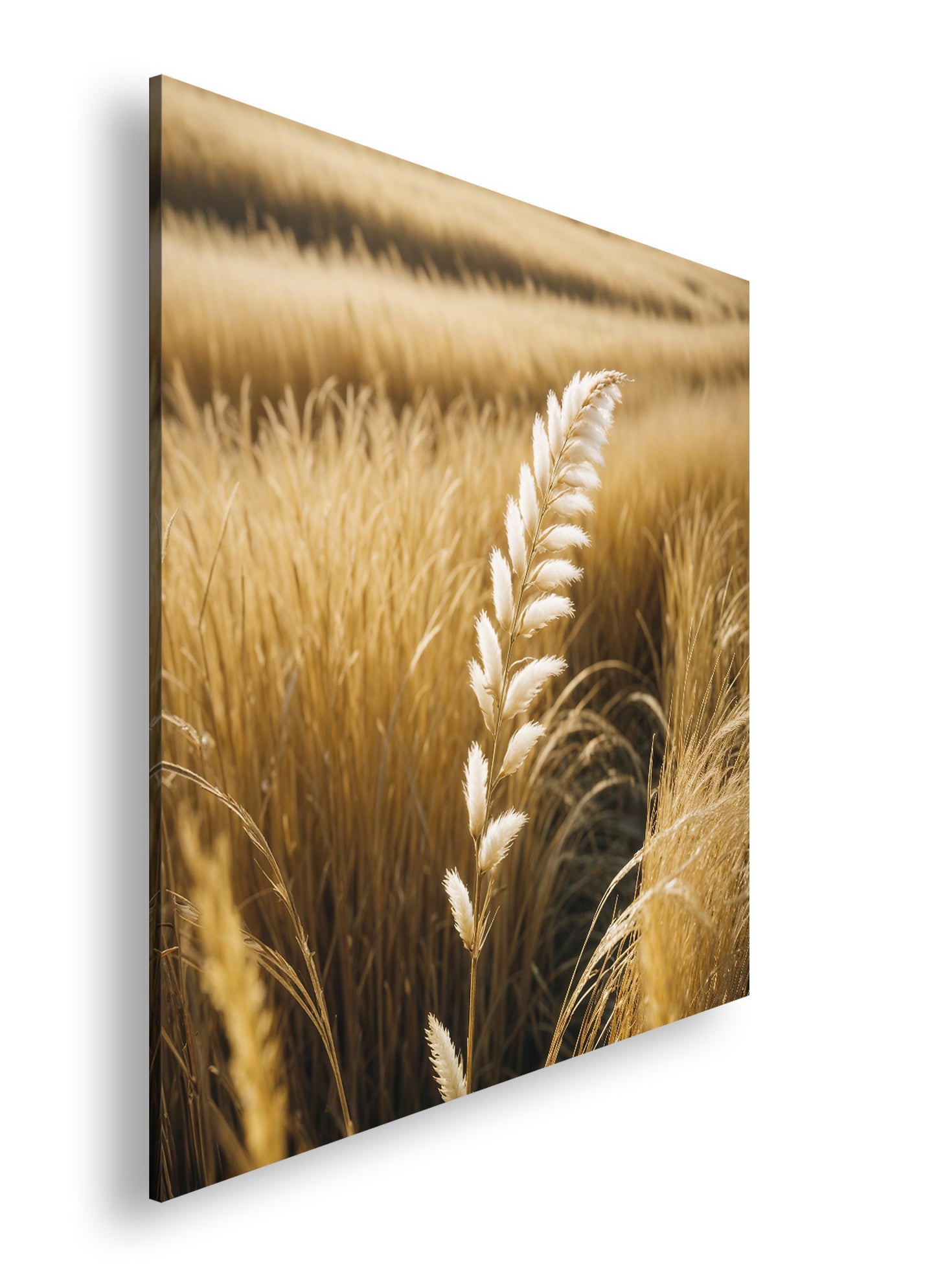 Hauptbild Farbig Quadratisch