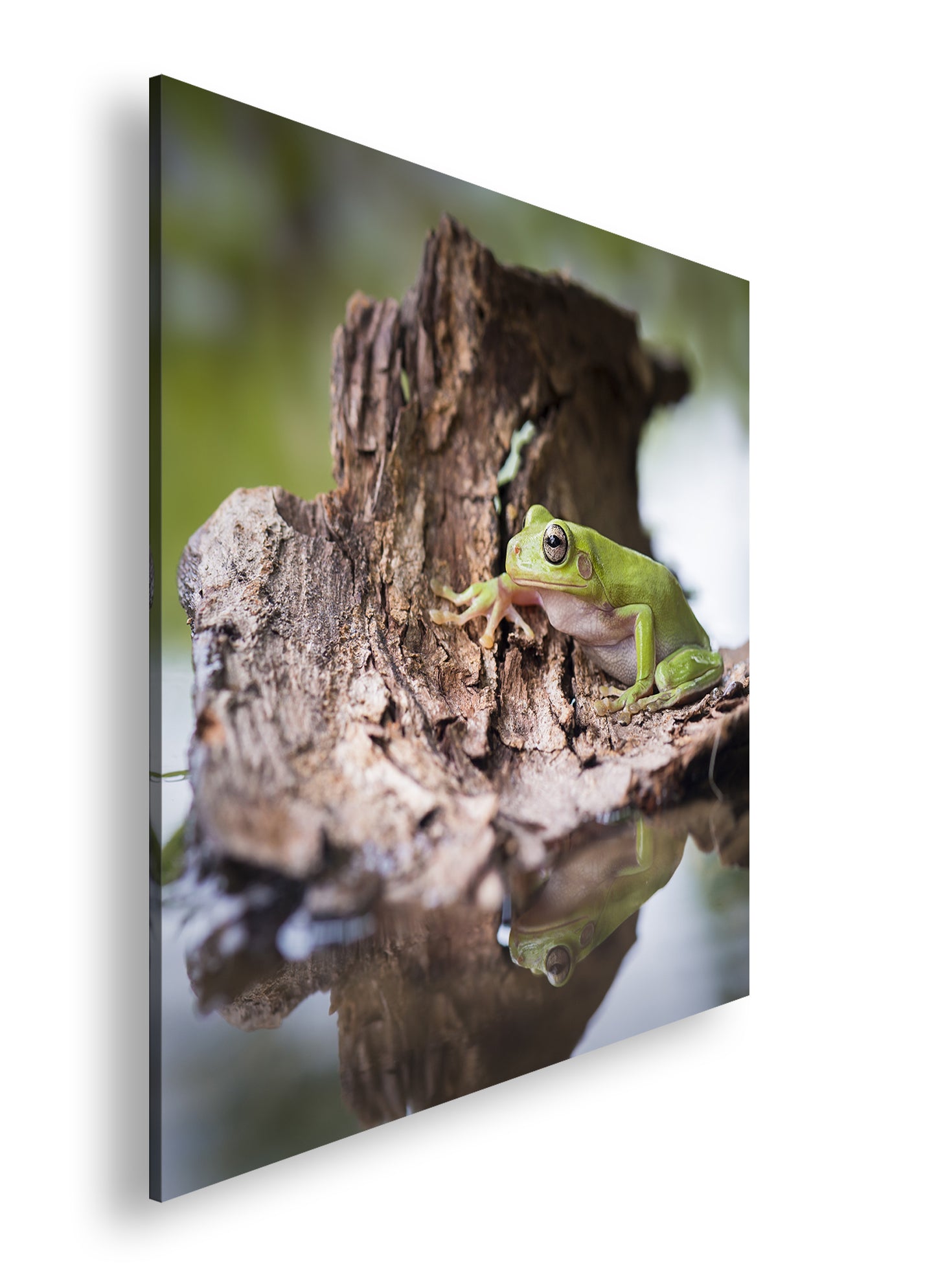 Hauptbild Farbig Quadratisch