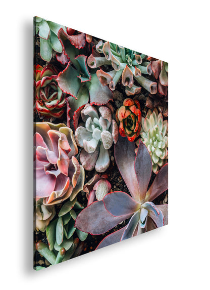 Hauptbild Farbig Quadratisch