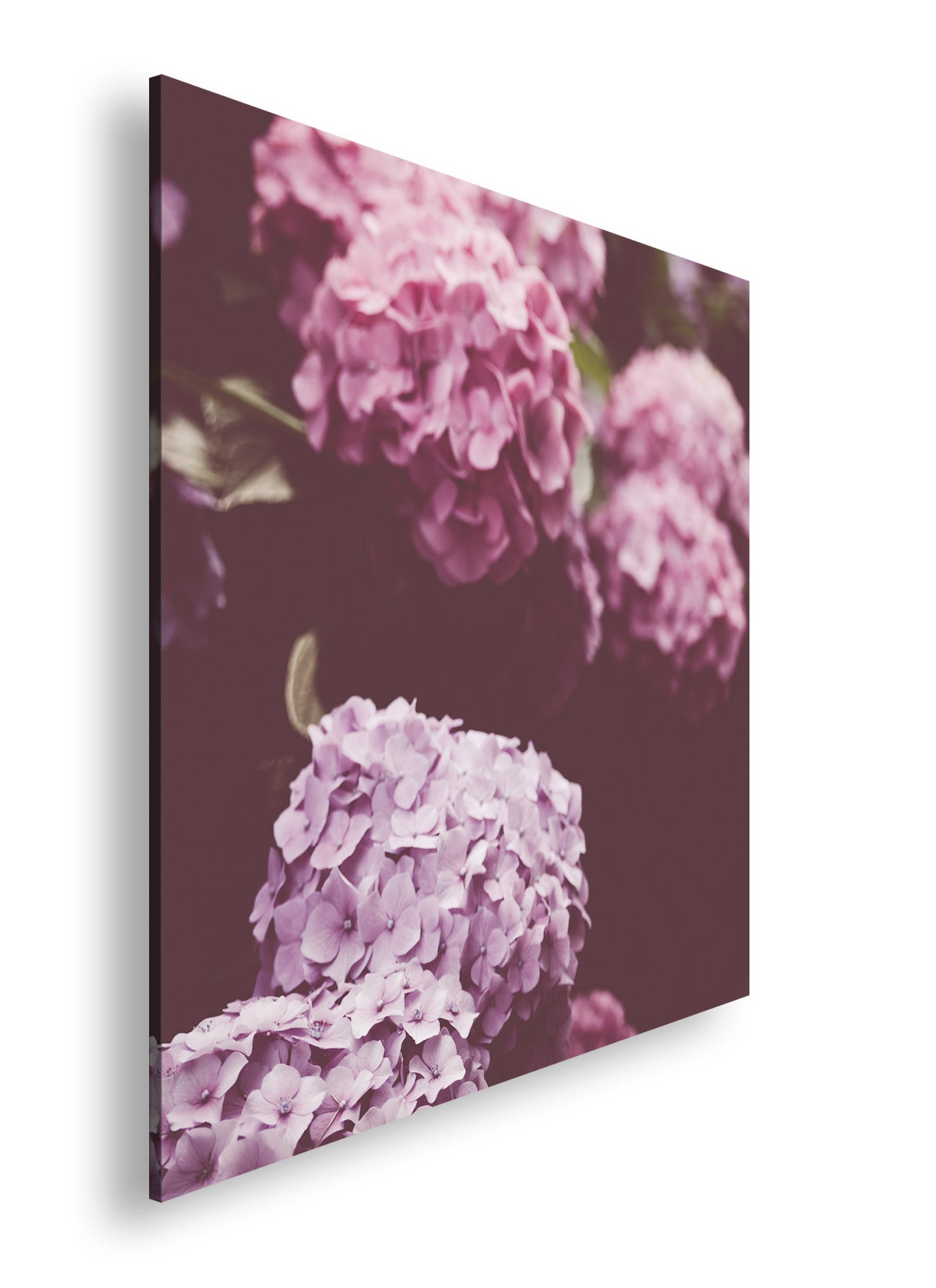 Hauptbild Farbig Quadratisch