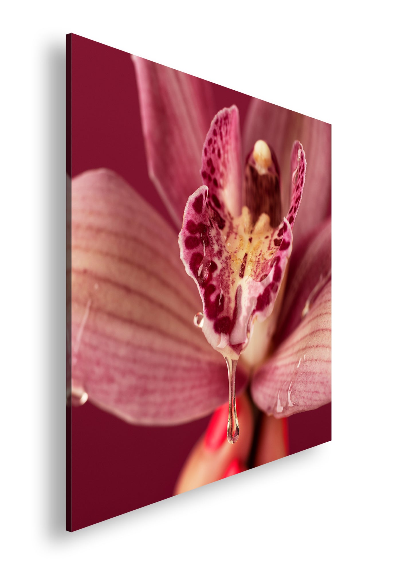 Hauptbild Farbig Quadratisch