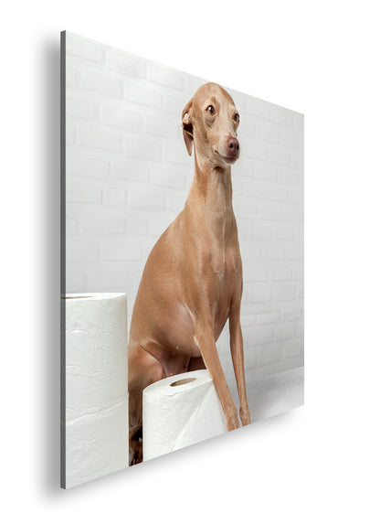 Hauptbild Farbig Quadratisch