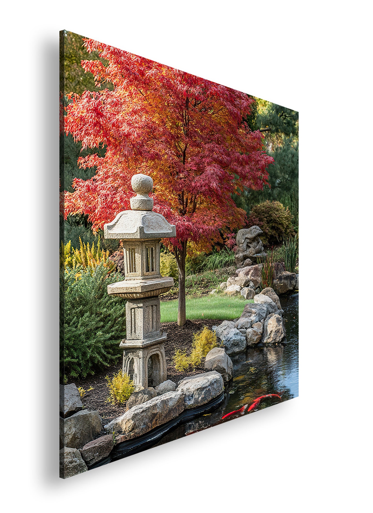 Hauptbild Farbig Quadratisch