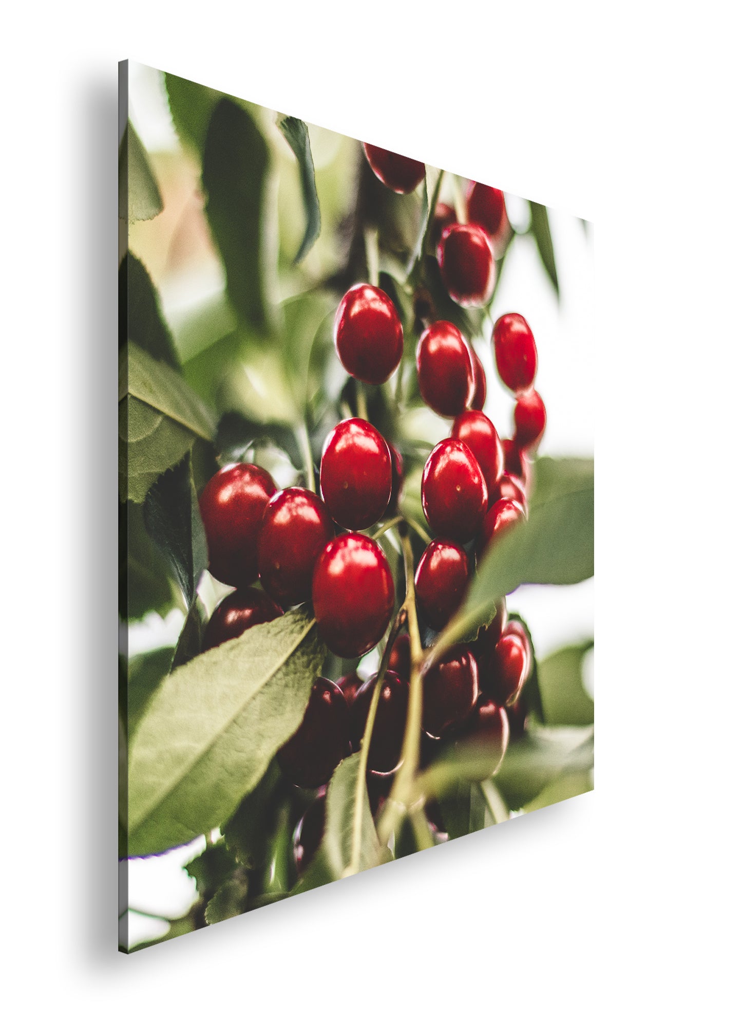 Hauptbild Farbig Quadratisch