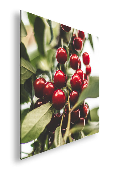 Hauptbild Farbig Quadratisch