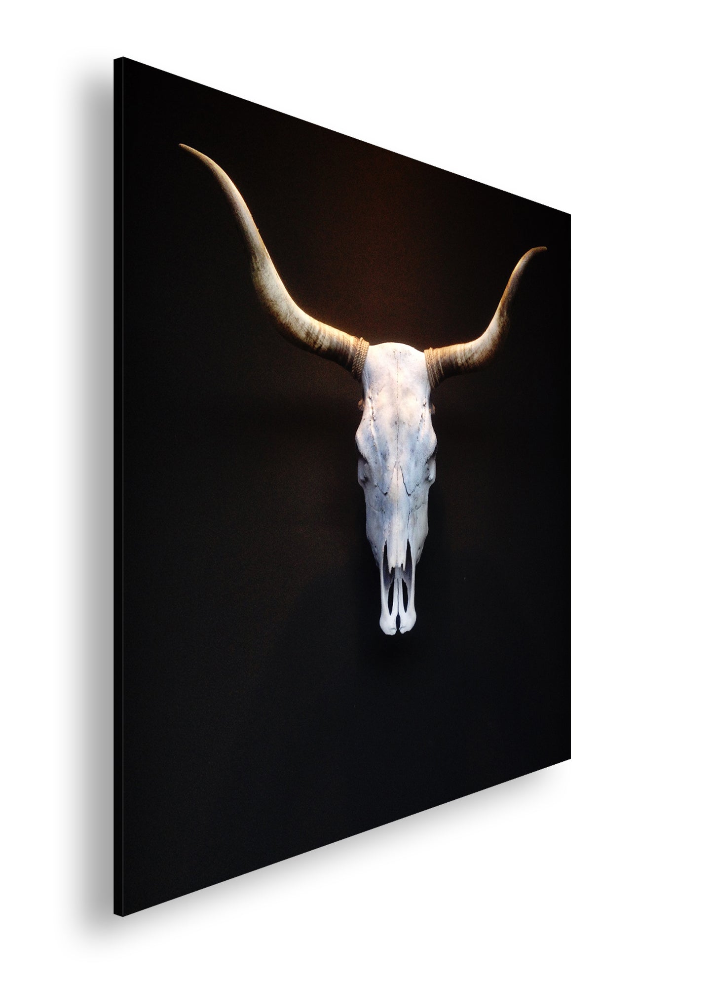 Hauptbild Farbig Quadratisch