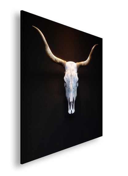 Hauptbild Farbig Quadratisch