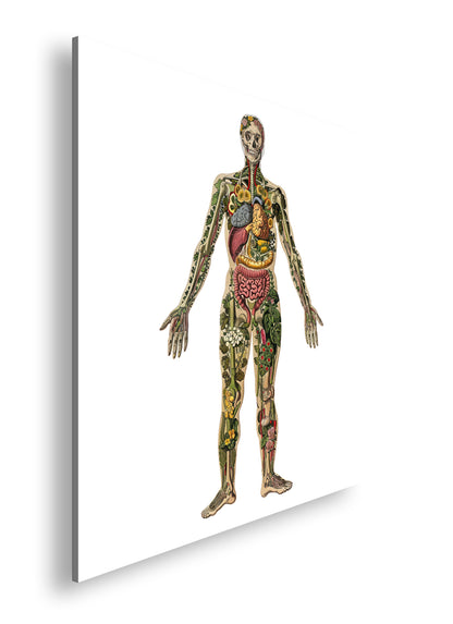 Hauptbild Farbig Quadratisch