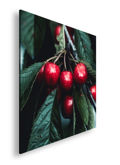 Hauptbild Farbig Quadratisch