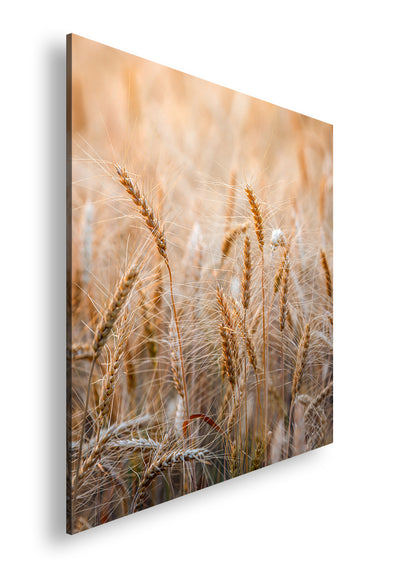 Hauptbild Farbig Quadratisch