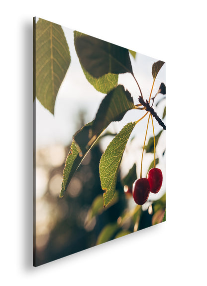 Hauptbild Farbig Quadratisch