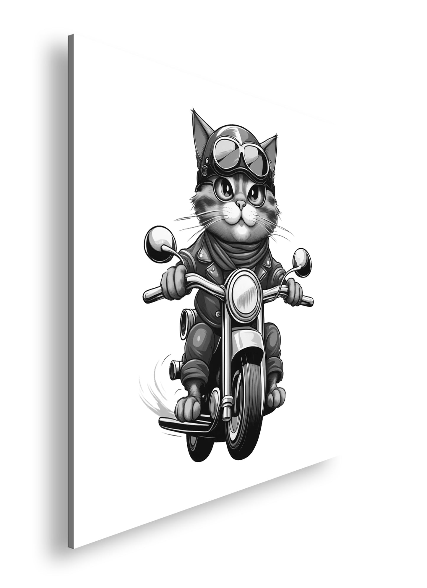 Hauptbild Schwarz & Weiß Quadratisch