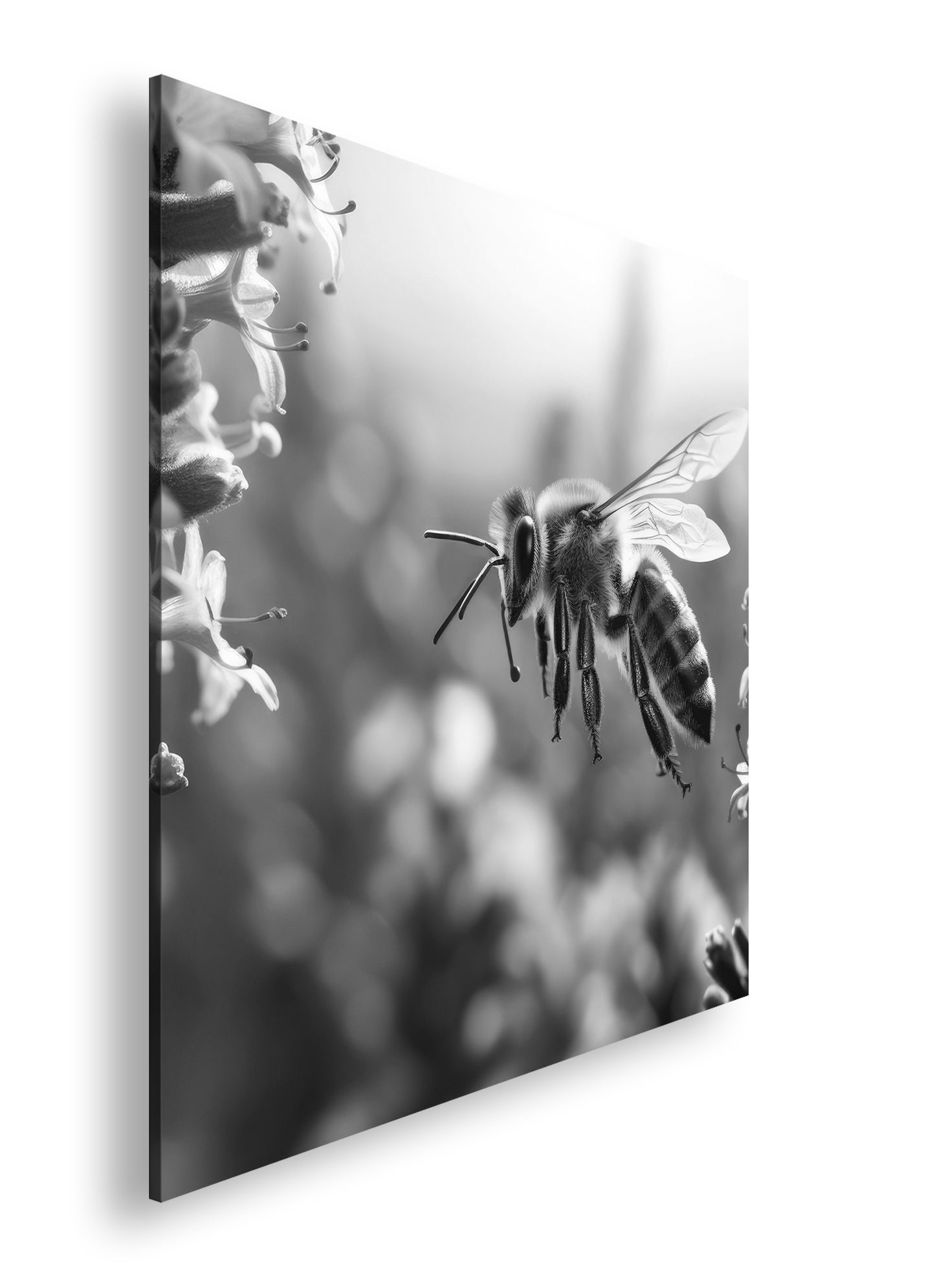 Hauptbild Schwarz & Weiß Quadratisch