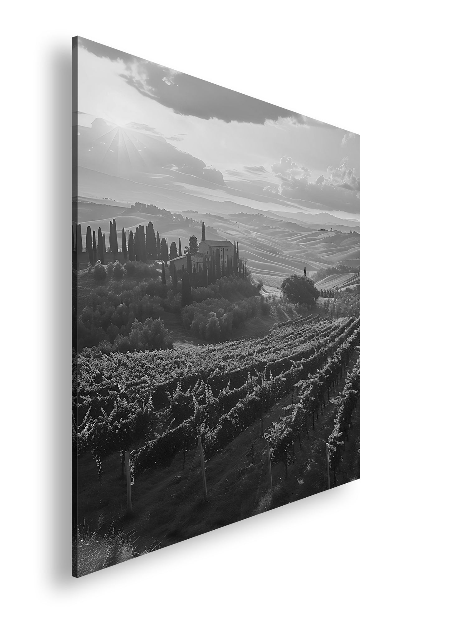 Hauptbild Schwarz & Weiß Quadratisch