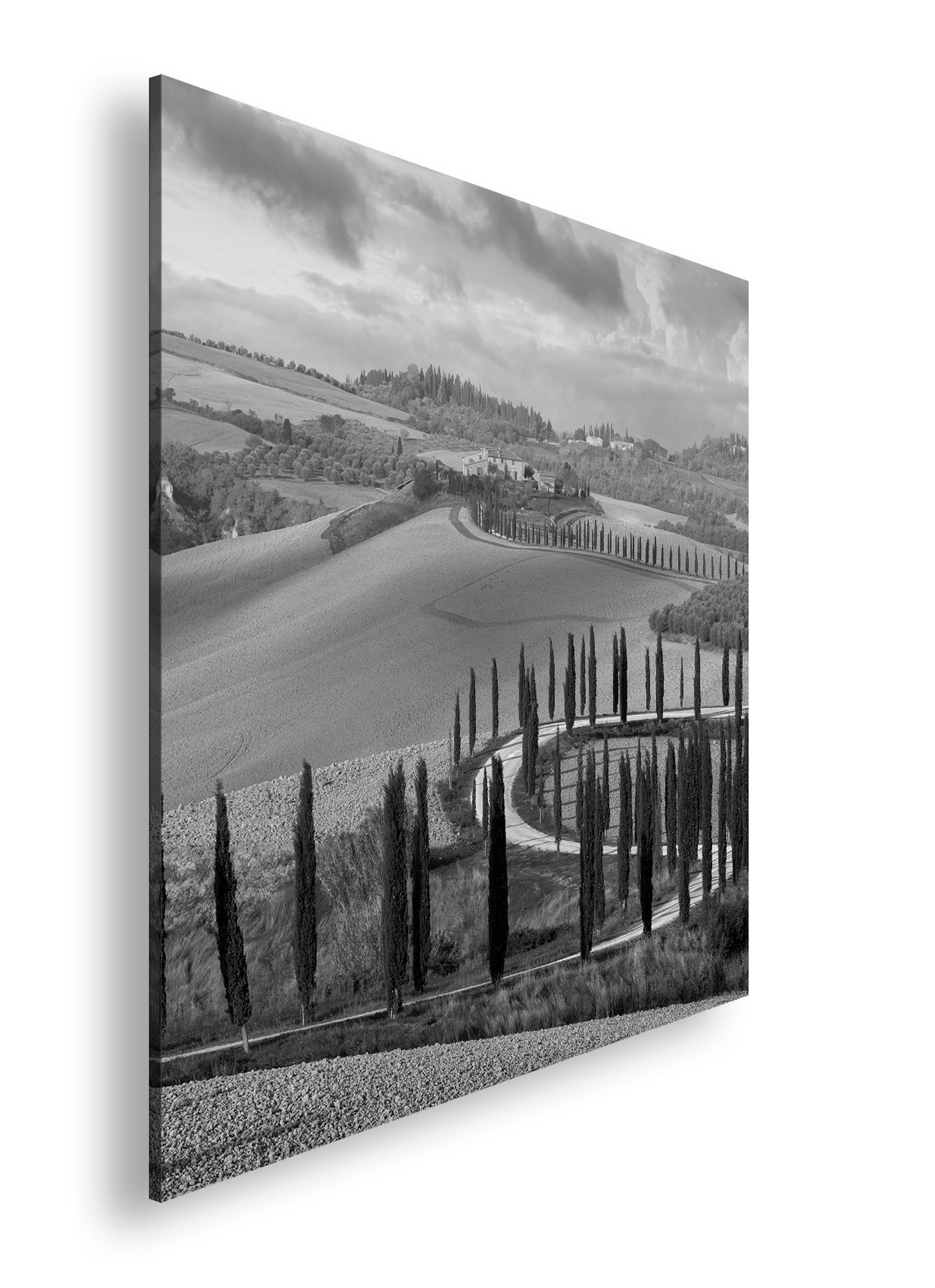 Hauptbild Schwarz & Weiß Quadratisch