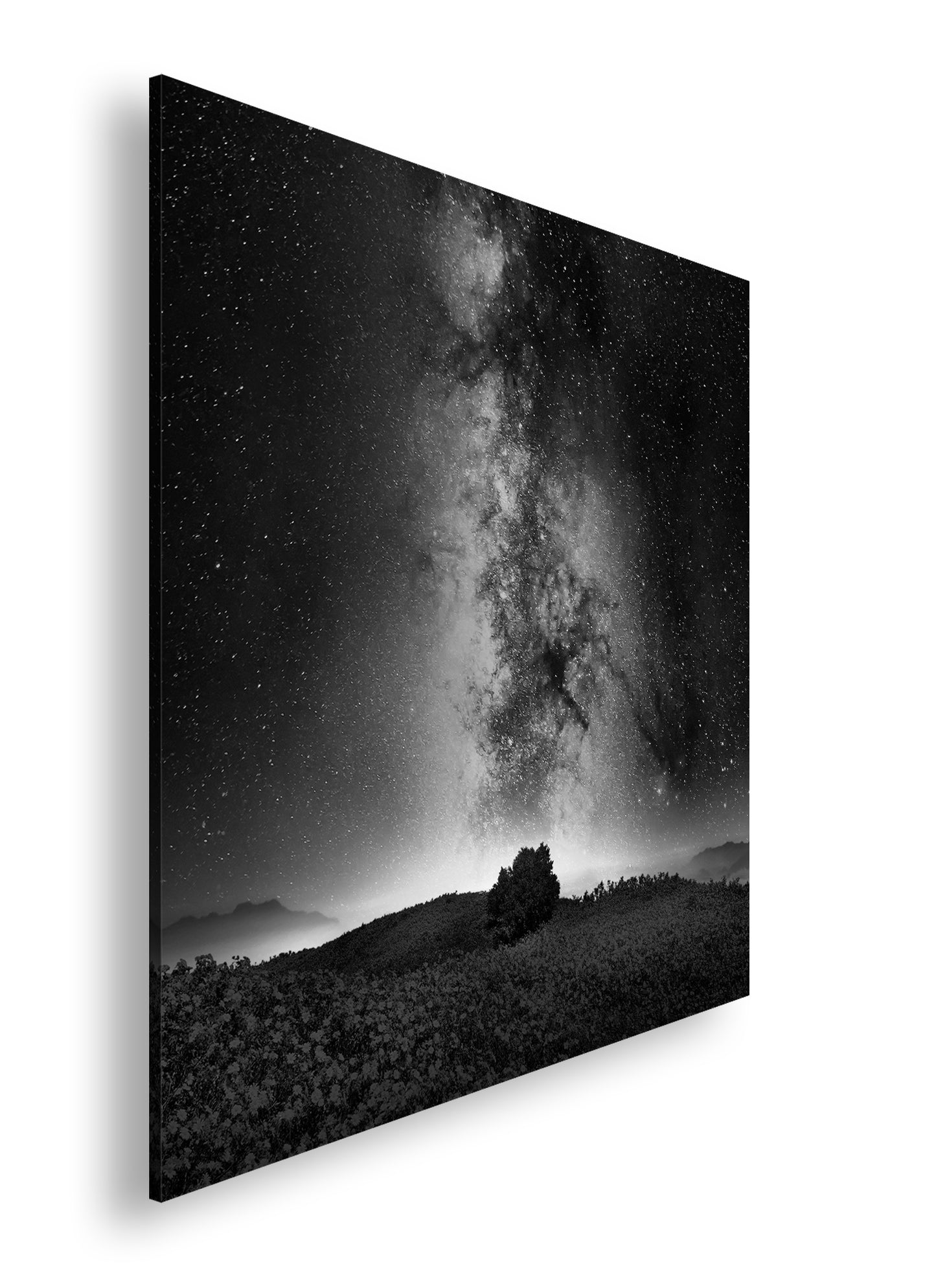 Hauptbild Schwarz & Weiß Quadratisch