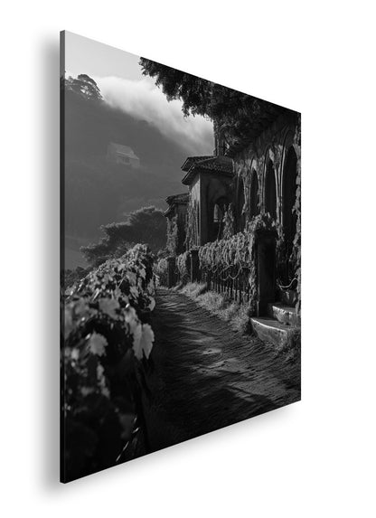 Hauptbild Schwarz & Weiß Quadratisch