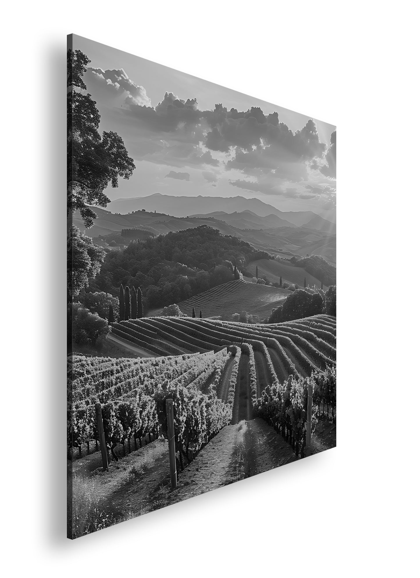 Hauptbild Schwarz & Weiß Quadratisch