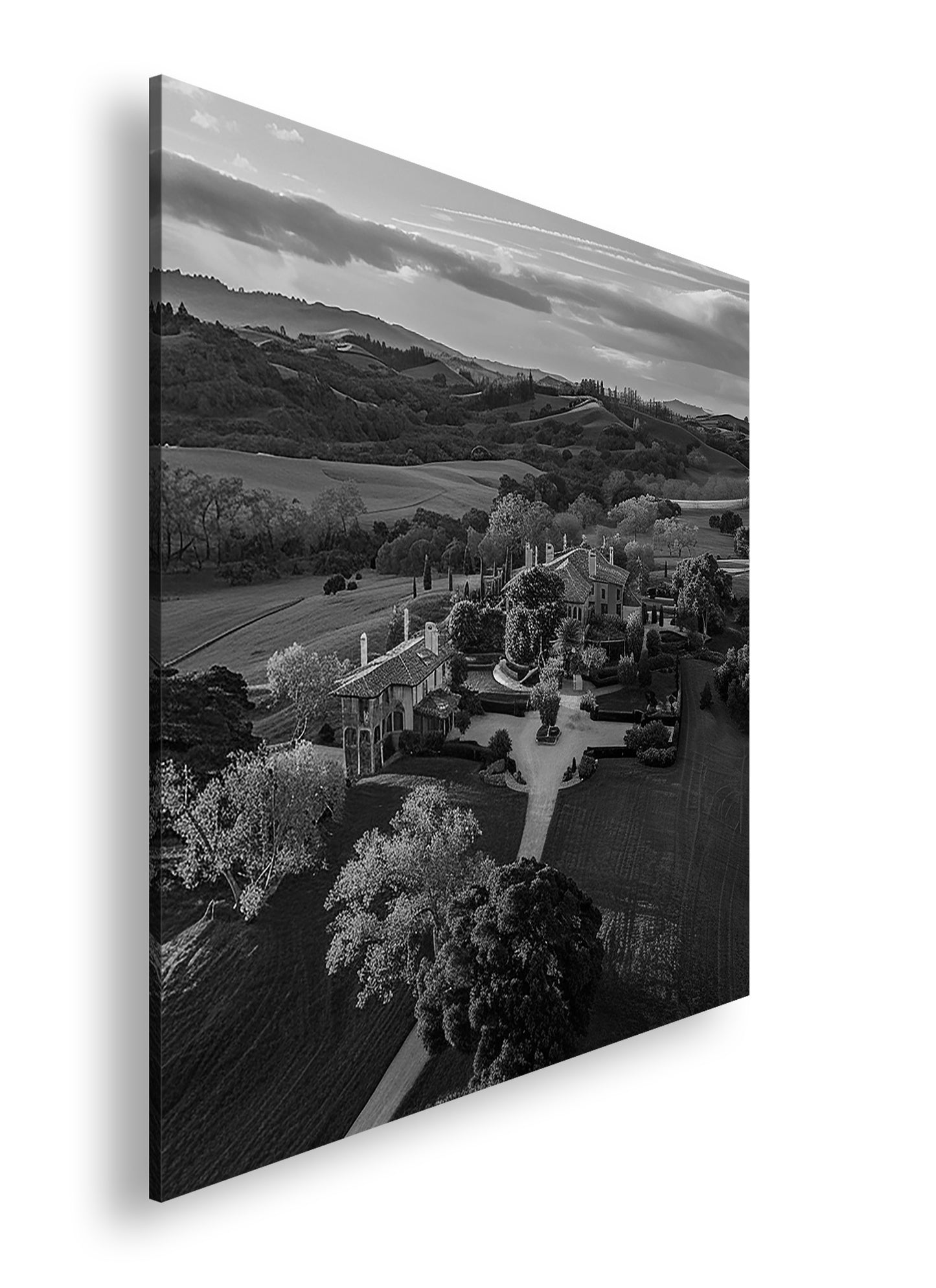 Hauptbild Schwarz & Weiß Quadratisch