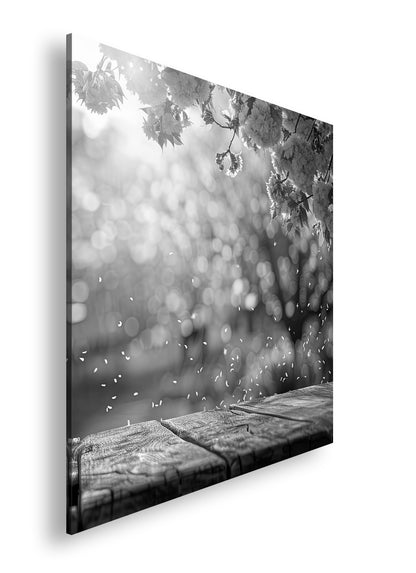 Hauptbild Schwarz & Weiß Quadratisch