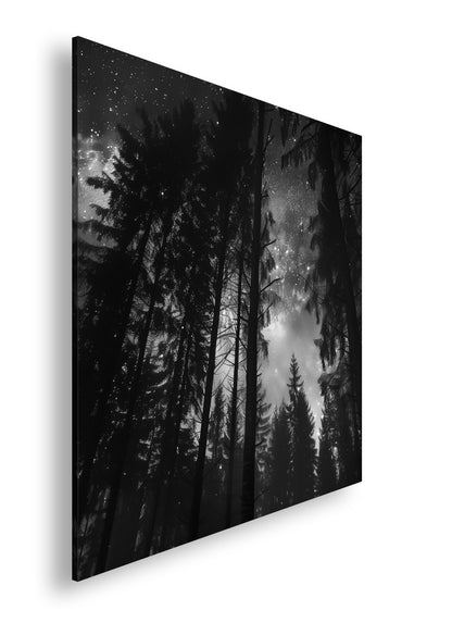 Hauptbild Schwarz & Weiß Quadratisch