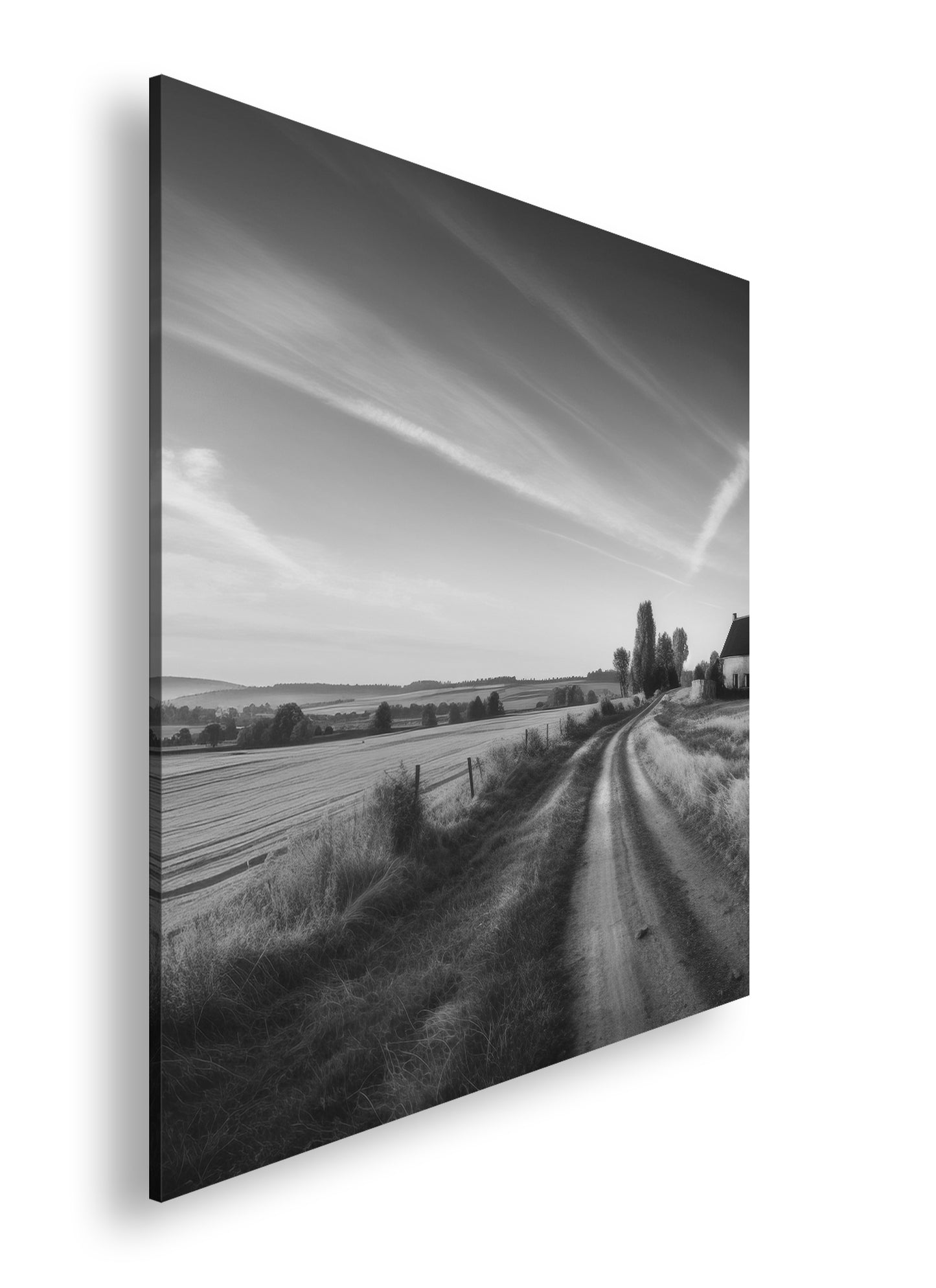 Hauptbild Schwarz & Weiß Quadratisch