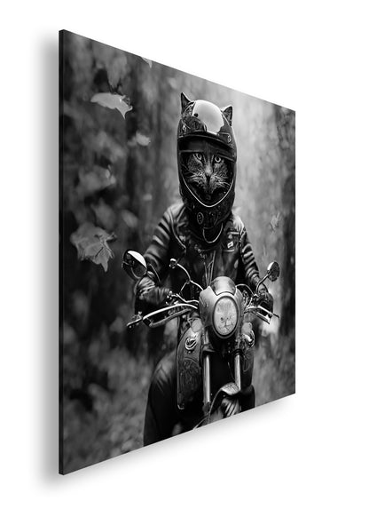 Hauptbild Schwarz & Weiß Quadratisch