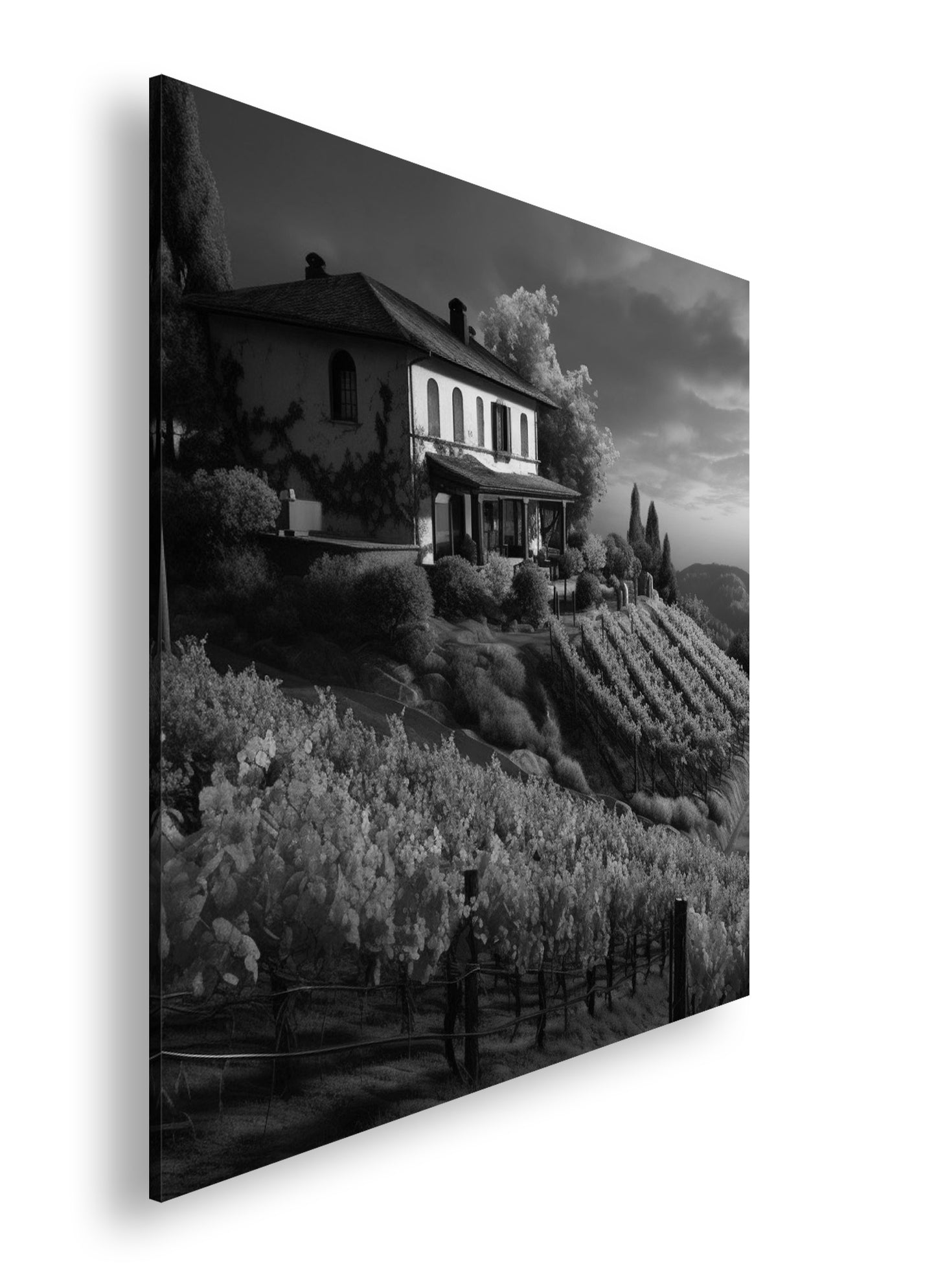 Hauptbild Schwarz & Weiß Quadratisch