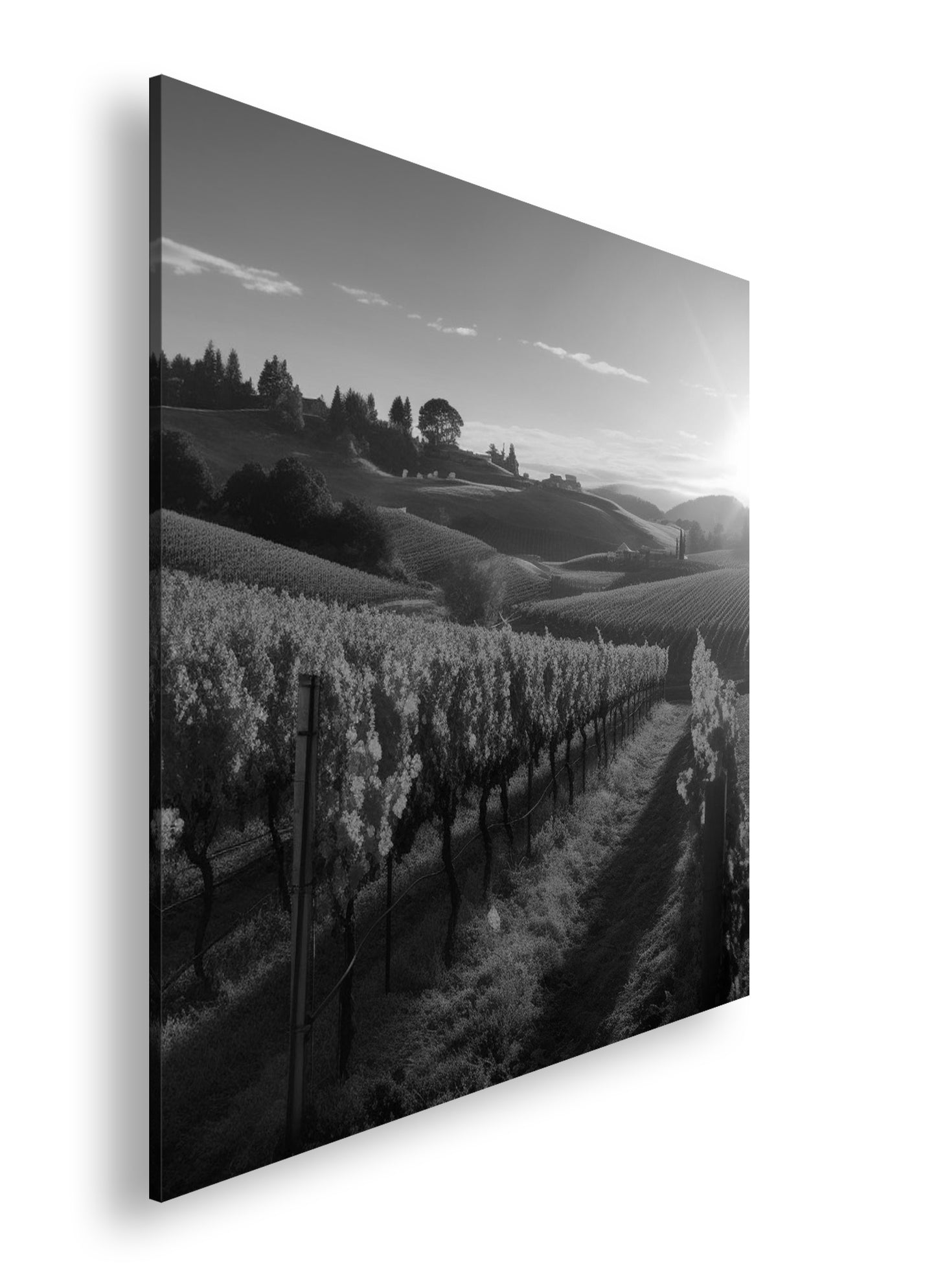 Hauptbild Schwarz & Weiß Quadratisch