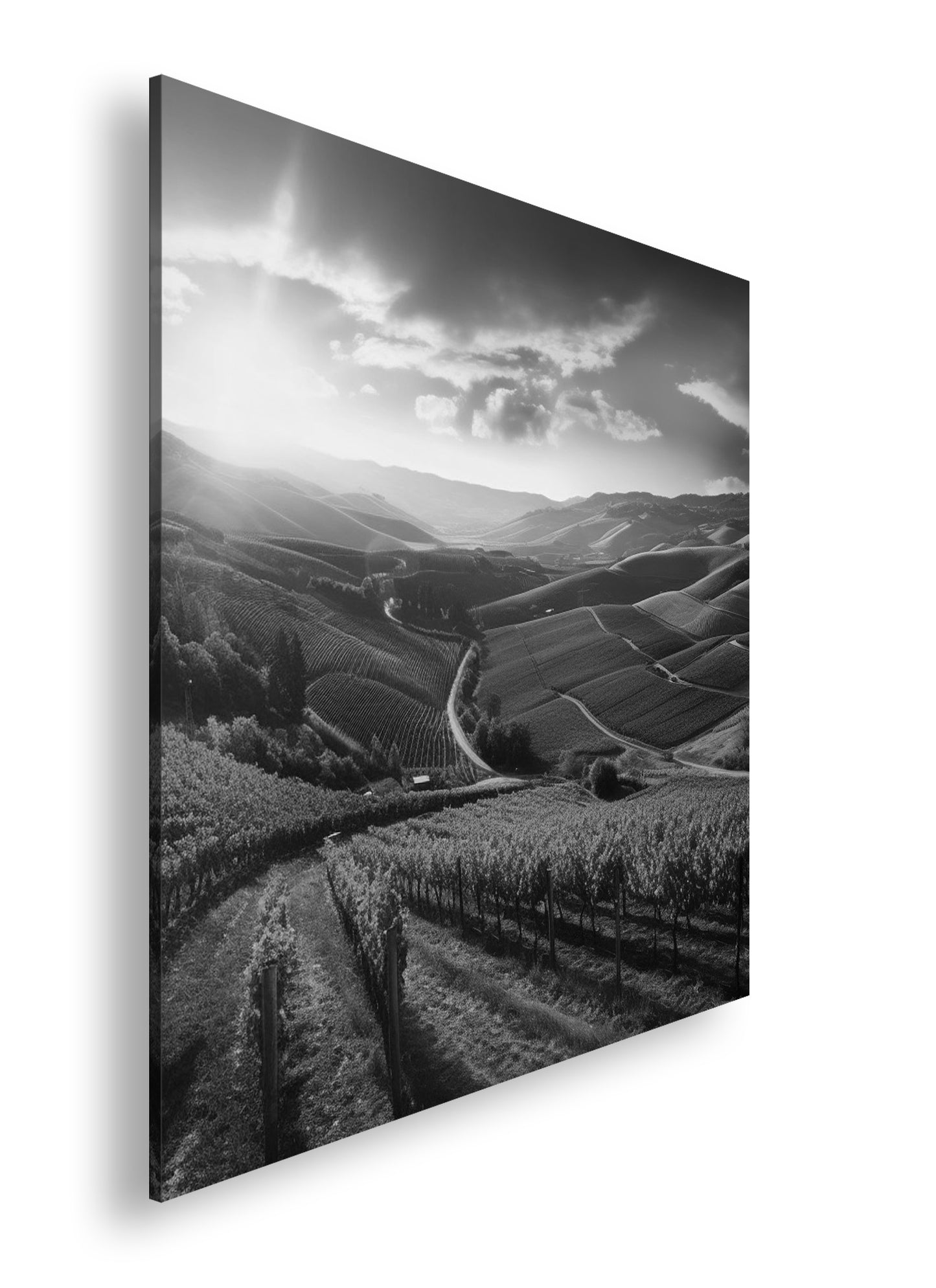 Hauptbild Schwarz & Weiß Quadratisch