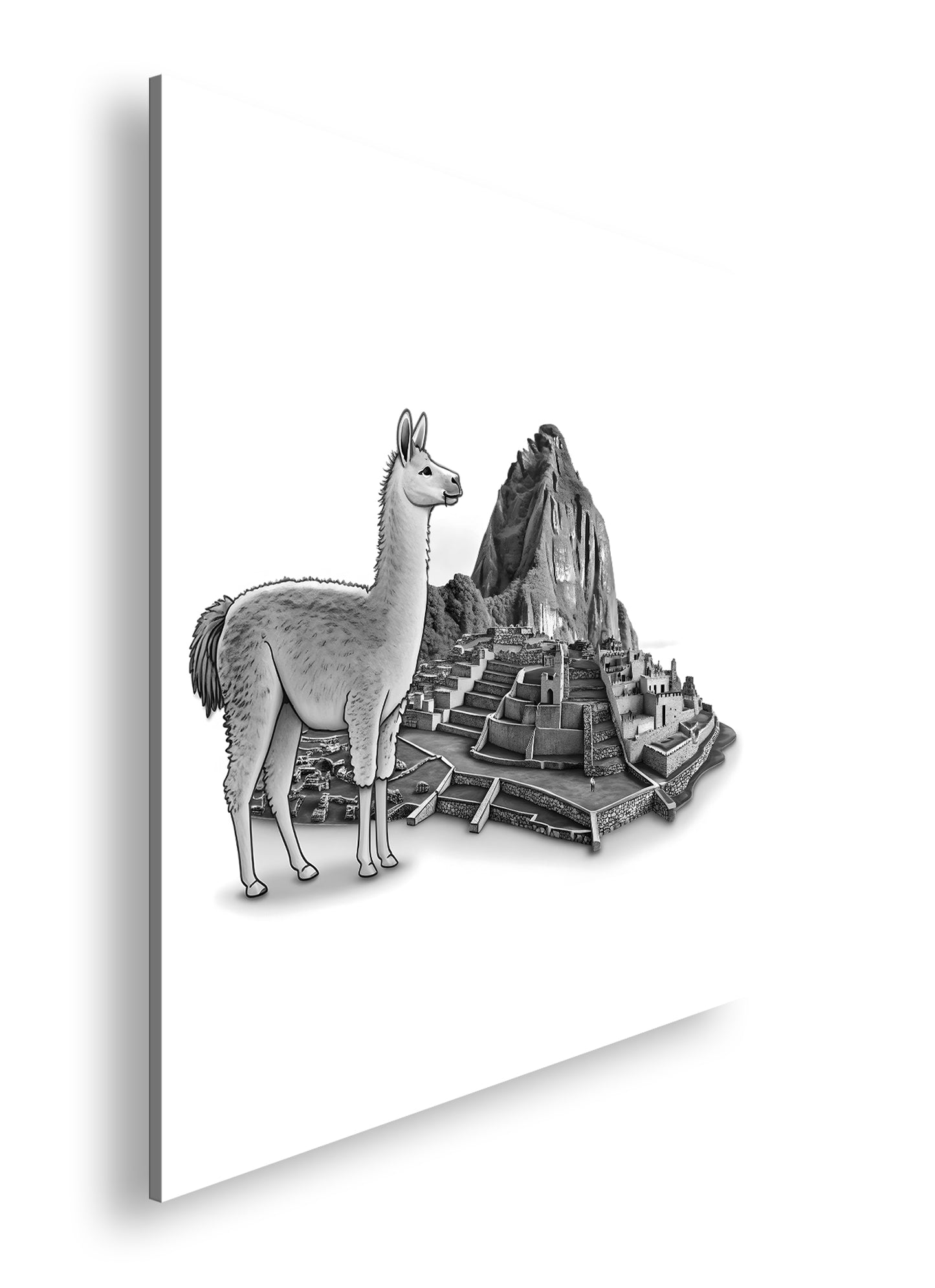 Hauptbild Schwarz & Weiß Quadratisch