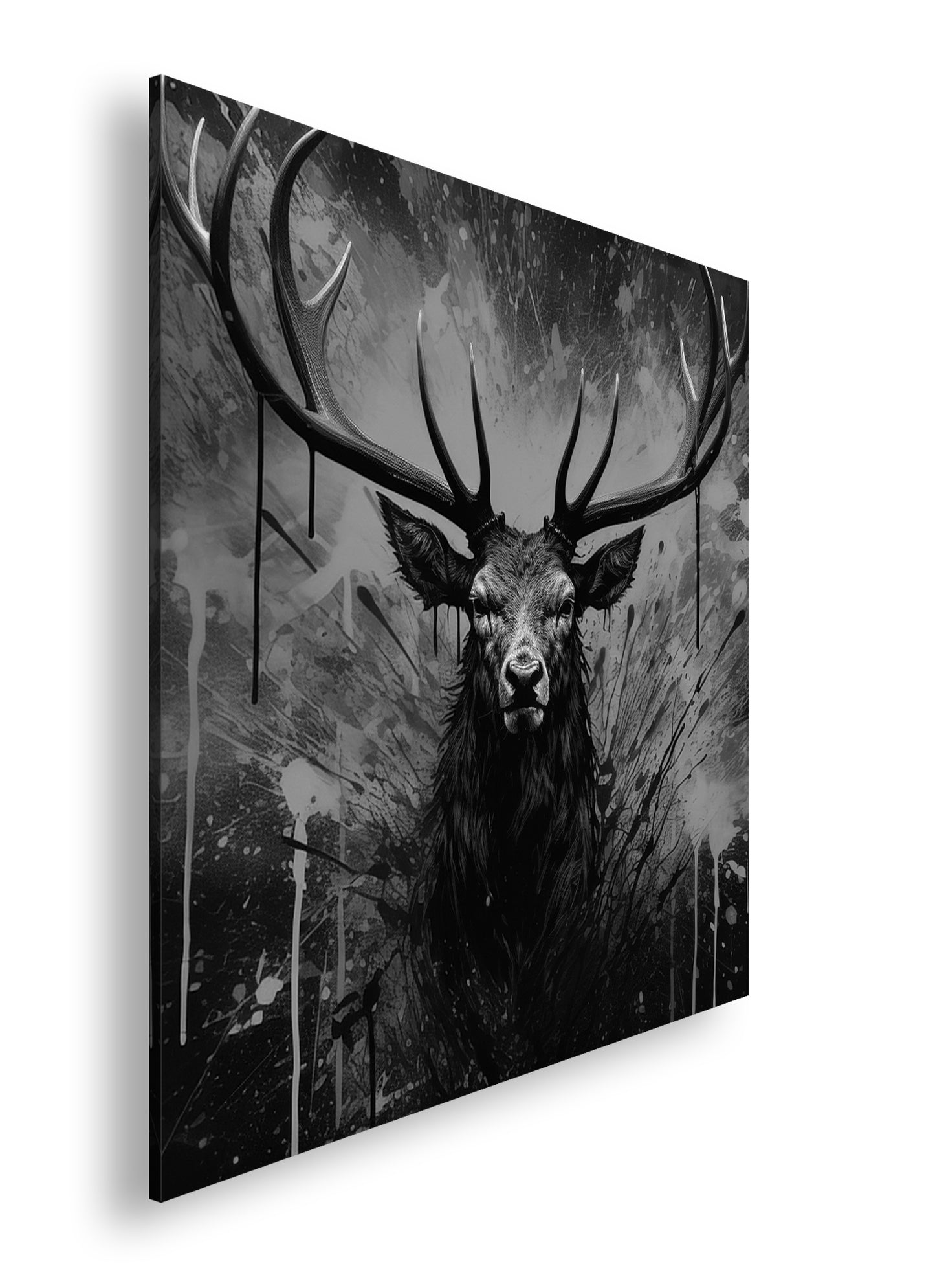 Hauptbild Schwarz & Weiß Quadratisch