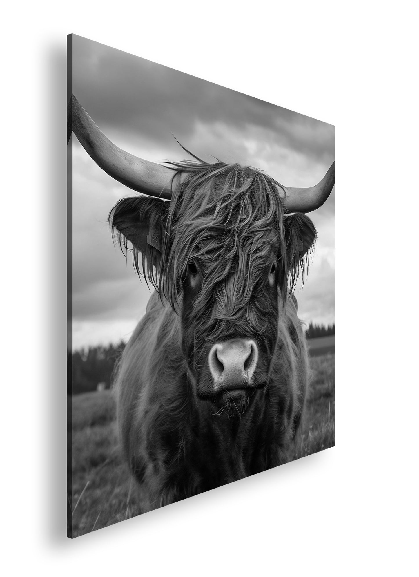 Hauptbild Schwarz & Weiß Quadratisch