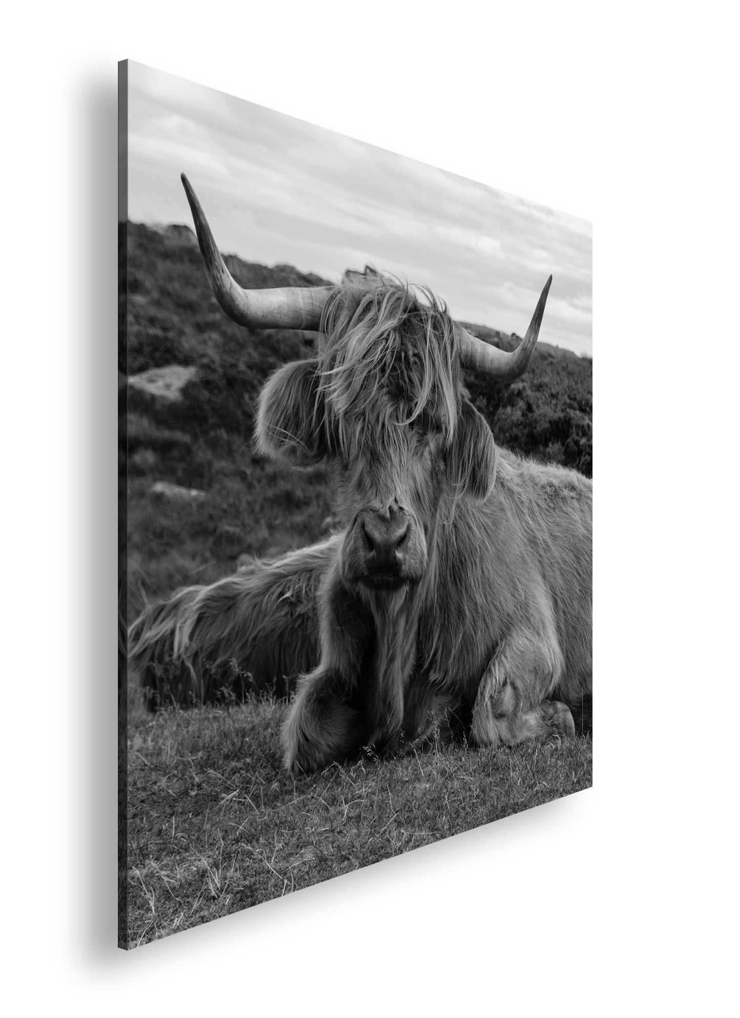 Hauptbild Schwarz & Weiß Quadratisch