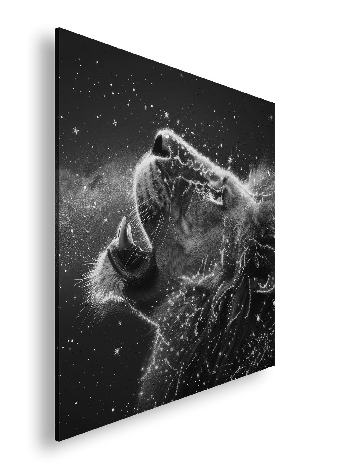 Hauptbild Schwarz & Weiß Quadratisch