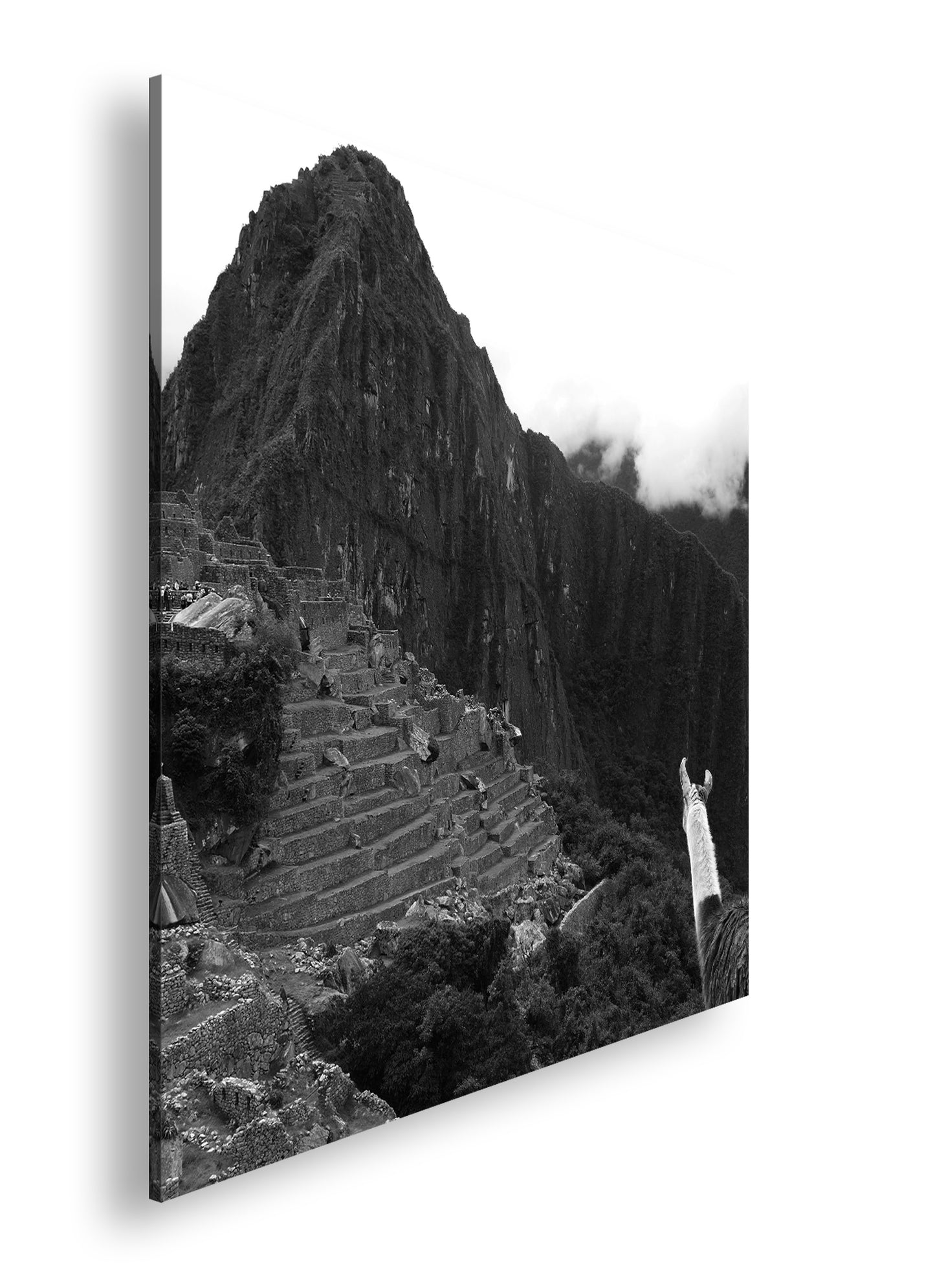 Hauptbild Schwarz & Weiß Quadratisch