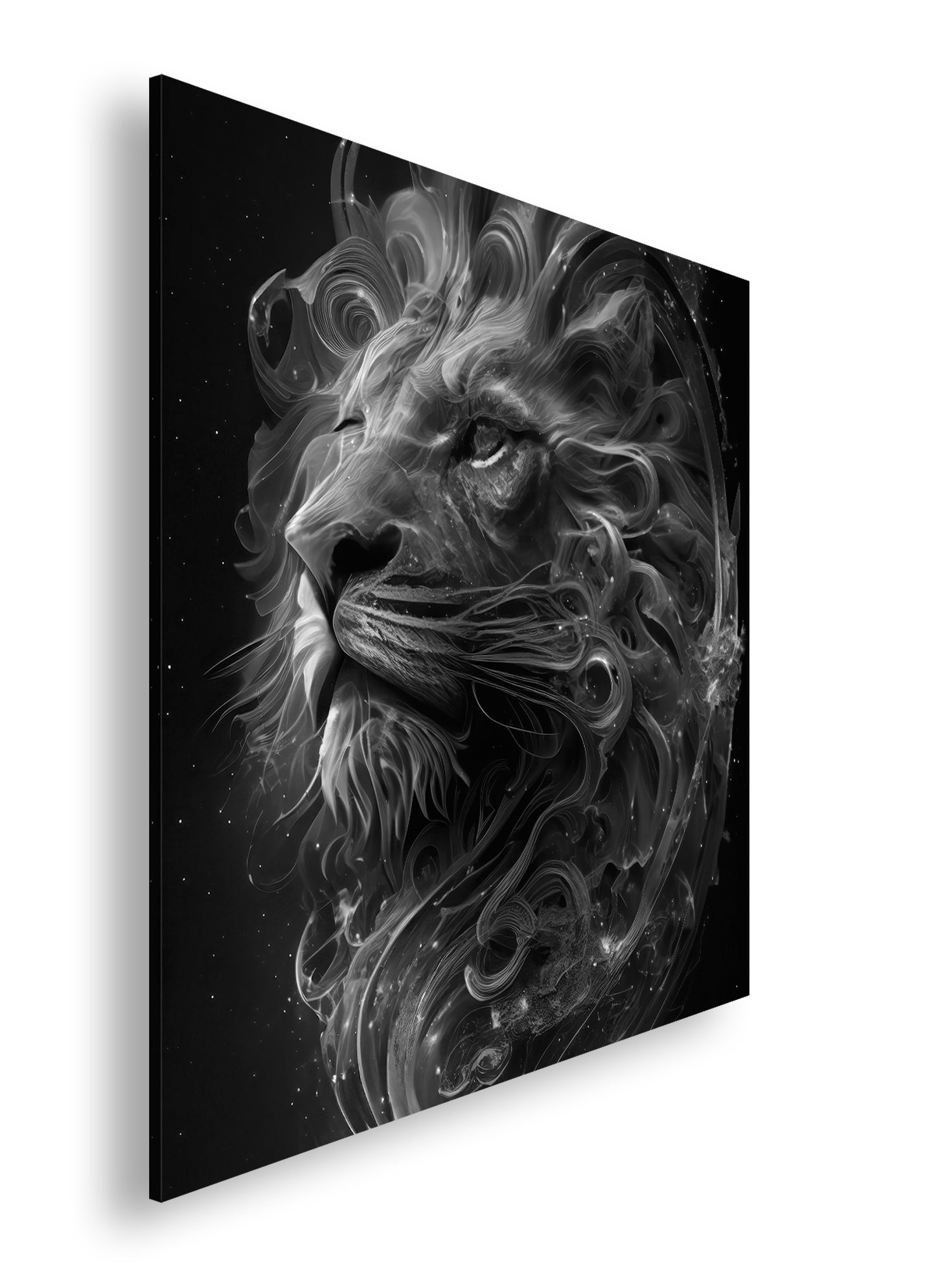 Hauptbild Schwarz & Weiß Quadratisch