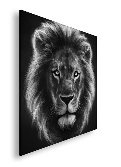 Hauptbild Schwarz & Weiß Quadratisch