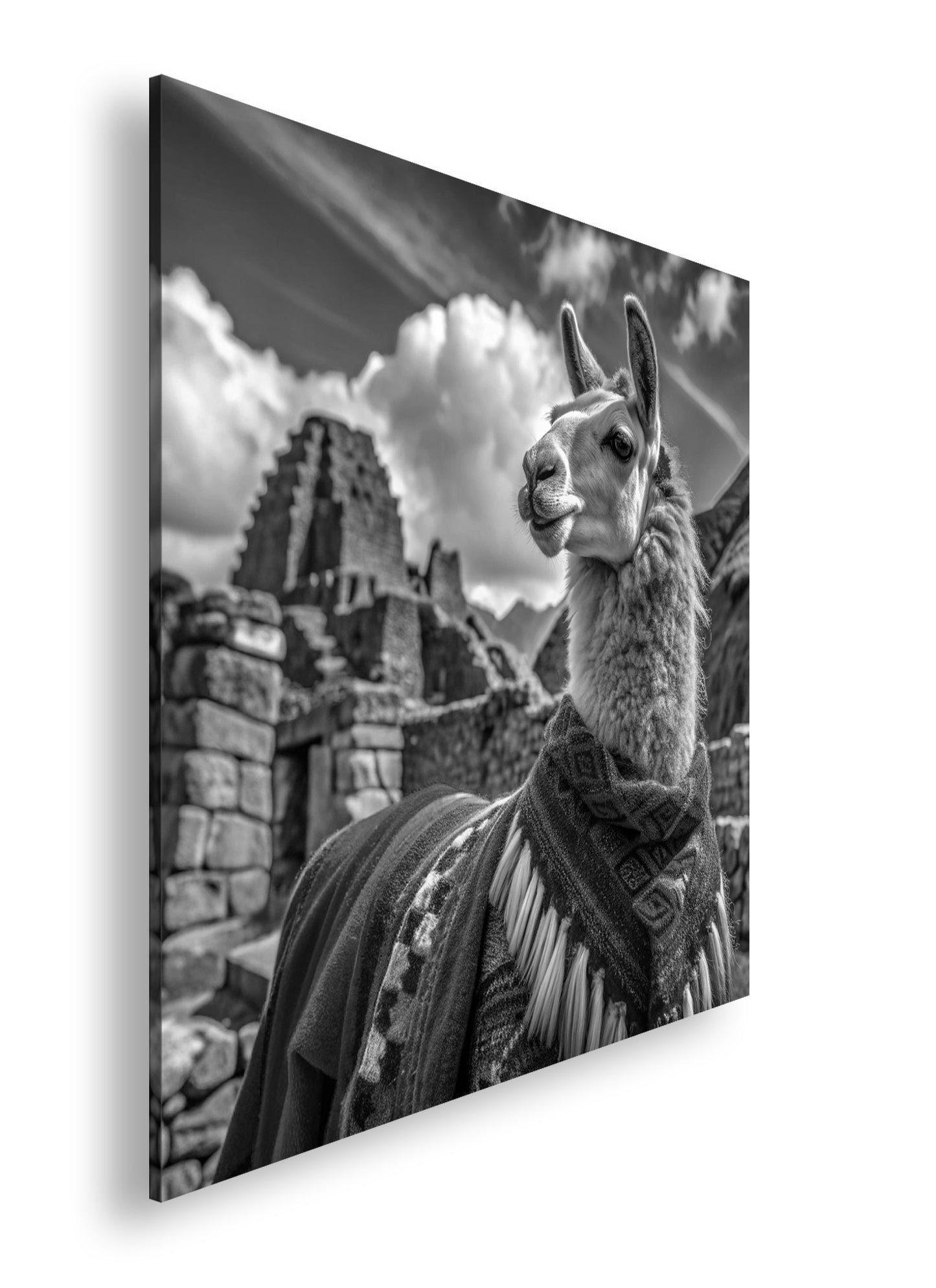 Hauptbild Schwarz & Weiß Quadratisch