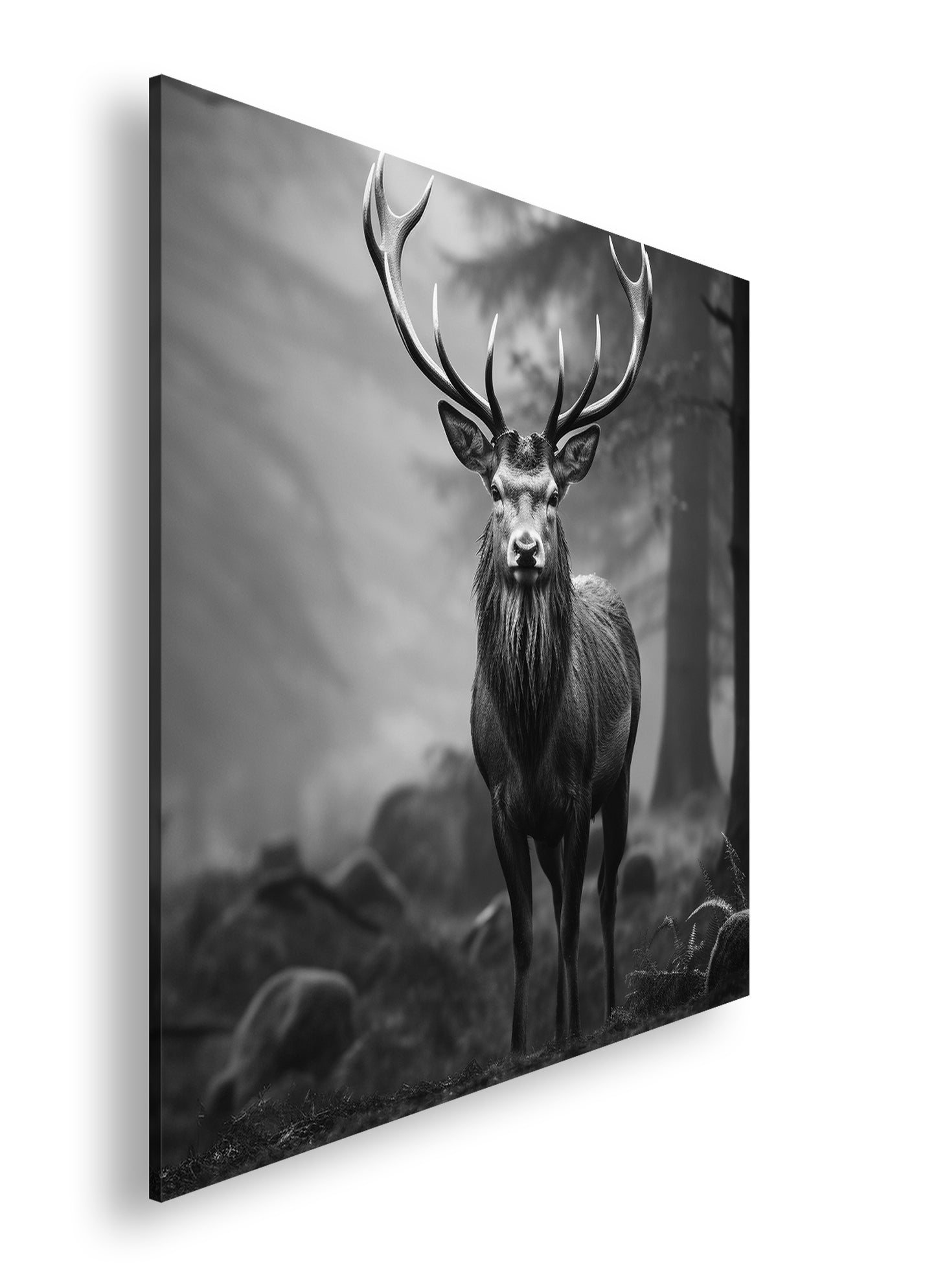 Hauptbild Schwarz & Weiß Quadratisch