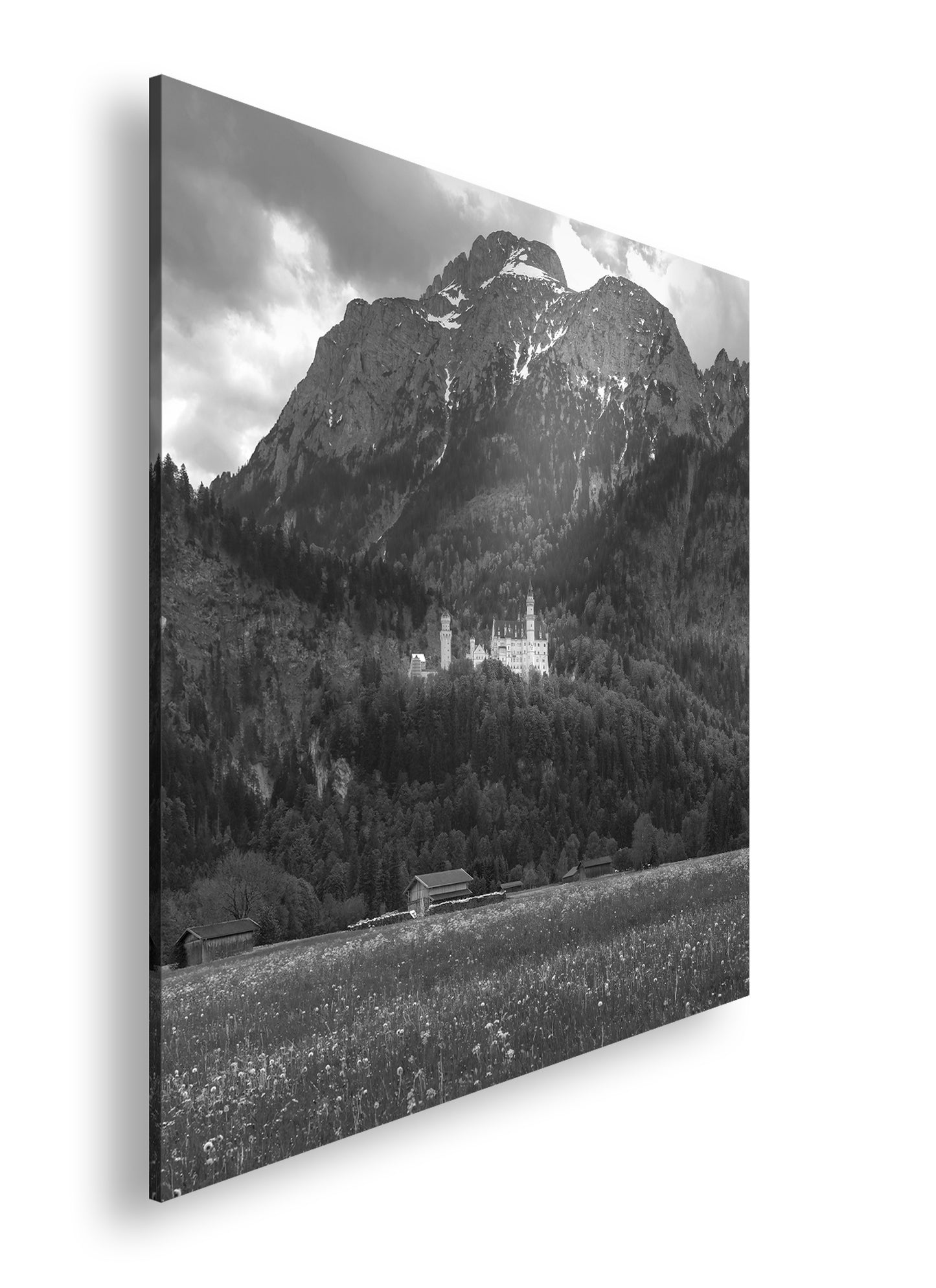 Hauptbild Schwarz & Weiß Quadratisch