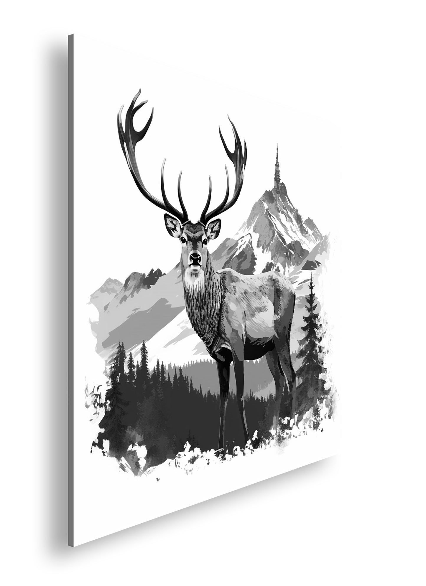 Hauptbild Schwarz & Weiß Quadratisch