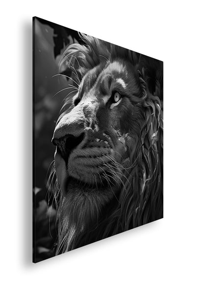 Hauptbild Schwarz & Weiß Quadratisch