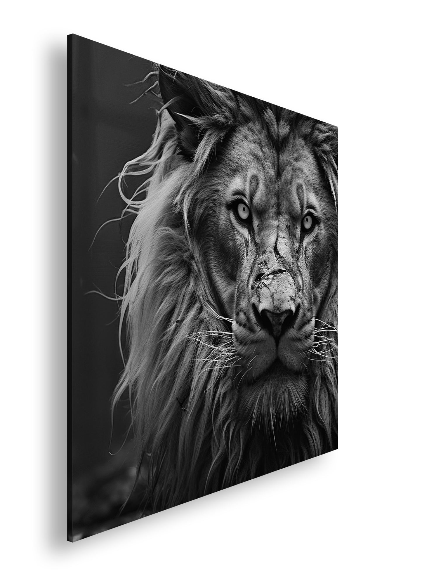 Hauptbild Schwarz & Weiß Quadratisch