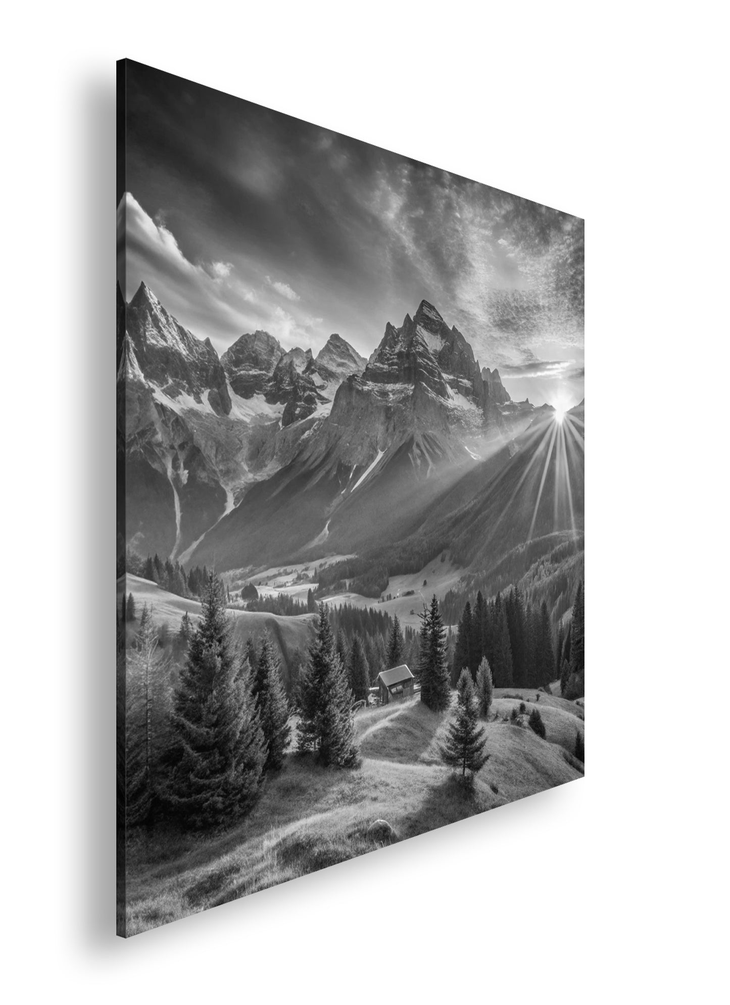 Hauptbild Schwarz & Weiß Quadratisch