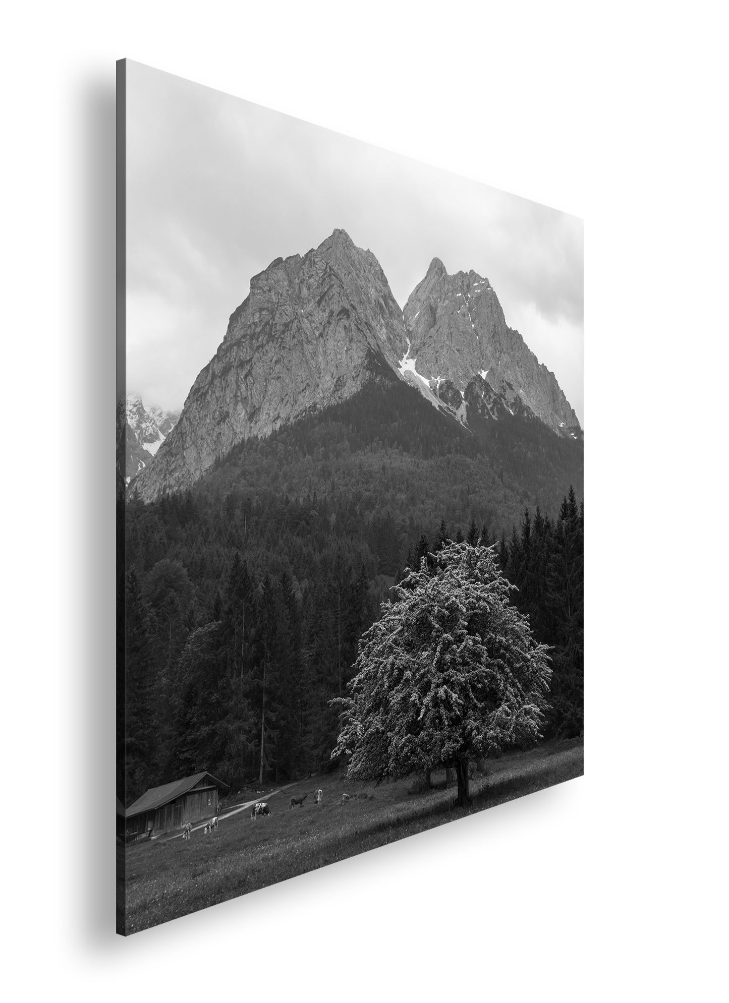 Hauptbild Schwarz & Weiß Quadratisch